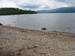 Am Ufer des Loch Lomond
